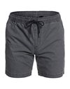 Quiksilver Men's Taxer 17" Casual Shorts