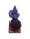 Nemesis Now Hocus Small Witches Familiar Black Cat and Spellbook Figurine, Red, 12.7cm