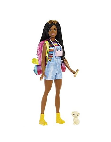 Barbie It Takes Two “Brooklyn” Camping Doll with Puppy & 10+ Accessories, 3 to 7 Years , Black