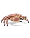 Papo 56047 Crab MARINE LIFE Figurine, 56047 Crab