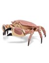 Papo 56047 Crab MARINE LIFE Figurine, 56047 Crab