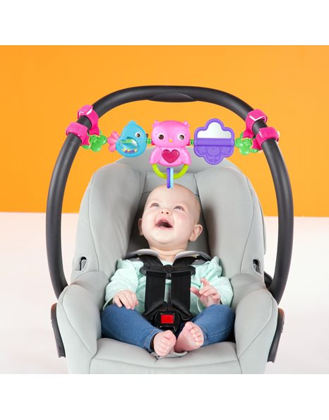 Bright Starts Busy Birdies Carrier Toy Bar Musical Take-Along Toy with Lights, Ages Newborn +