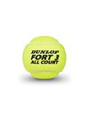 Dunlop Tennis Ball Fort All Court TS - for Clay, Hard Court and Grass (1 x 3 Tin)