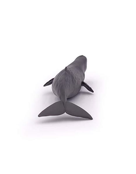 Papo 56045 Sperm whale calf MARINE LIFE Figurine, Multicolour
