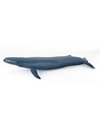 Papo MARINE LIFE animaux Figurine, 56037 Blue Whale, Multicolour