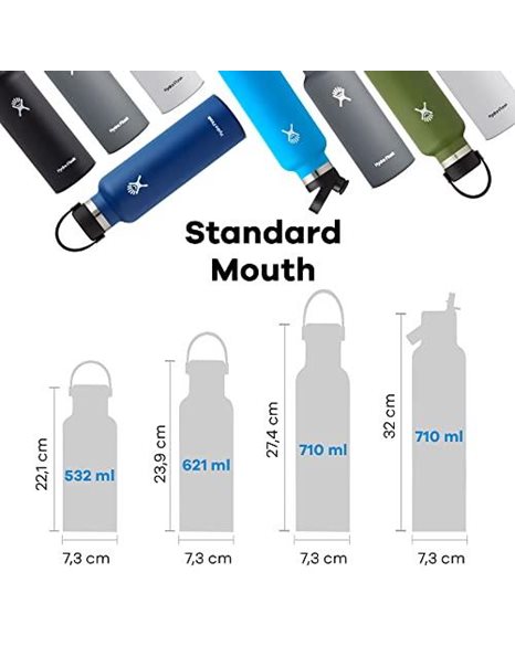HYDRO FLASK - Water Bottle 532 ml (18 oz) - Vacuum Insulated Stainless Steel Water Bottle with Leak Proof Flex Cap and Powder Coat - BPA-Free - Standard Mouth - Goji