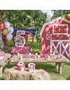 Ginger Ray Customisable Farm Themed Birthday Barn Party Box Including Sticker Sheets & Animal Characters