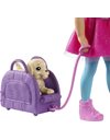 Barbie Dreamhouse Adventures Doll, Blonde Chelsea Doll with Pink Skirt, Toy Puppy, Backpack, Travel Set and Doll Accessories, Toys for Ages 3 and Up, One Barbie Doll, FWV20