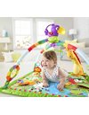 Fisher-Price Rainforest Music & Lights Deluxe Gym, baby gym with lights, music and colorful characters, GXC35