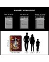 Harry Potter Micro Raschel Throw Blanket, 46 x 60 Inches, Battle Flag