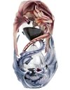 Nemesis Now Guardians of Time Sand Timer Anne Stokes 20cm, Resin, Lilac, One Size