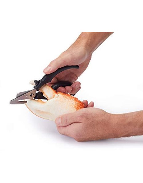 MasterClass MCSFSHEARS Seafood Shears with Lobster Cracker and Soft Grip Handles, Stainless Steel, 18.5 cm
