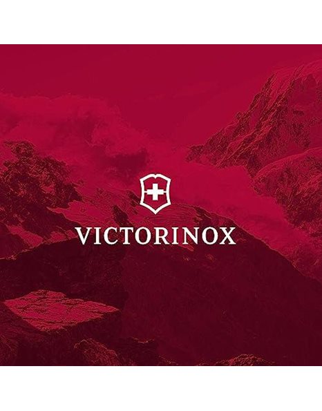 Victorinox V6.7113.6G, Stainless Steel, Mutli, Small