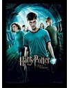 Harry Potter FP10687P-PL "Order of The Phoenix" Framed Print, 30 x 40 cm