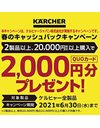 Karcher 2.643-585.0 H 10 H10 Q PremiumFlex Anti-Twist Hose, Grey