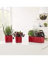LECHUZA CUBE Glossy 16 Self Watering Planter Small Flower Plant Pot Indoor Table Planter without Drainage Hole Poly Resin H16 L17 W17 cm Charcoal High-Gloss